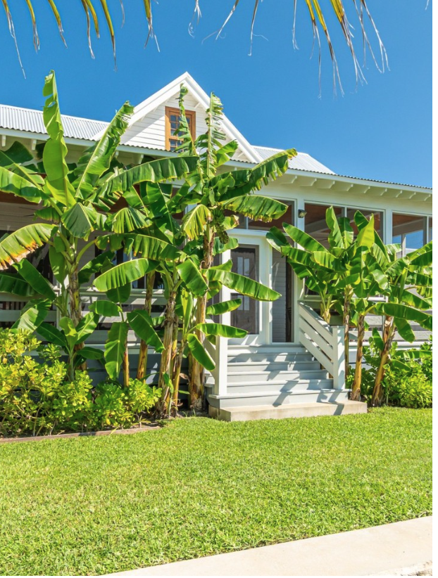 Experience Coastal Elegance at M&B Luxury Rentals | Mahogany Bay Village, Belize (photo 7)