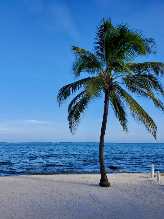 New Direct Flight from Montreal to Belize City ✈️ | Mahogany Bay Village, Belize (photo 1)