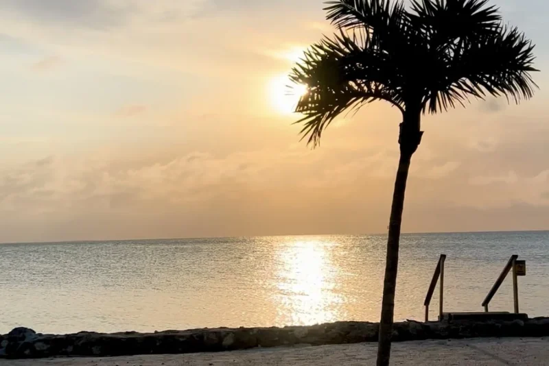Thanksgiving in Belize: Hosting a Holiday Feast in Your Private Villa Kitchen