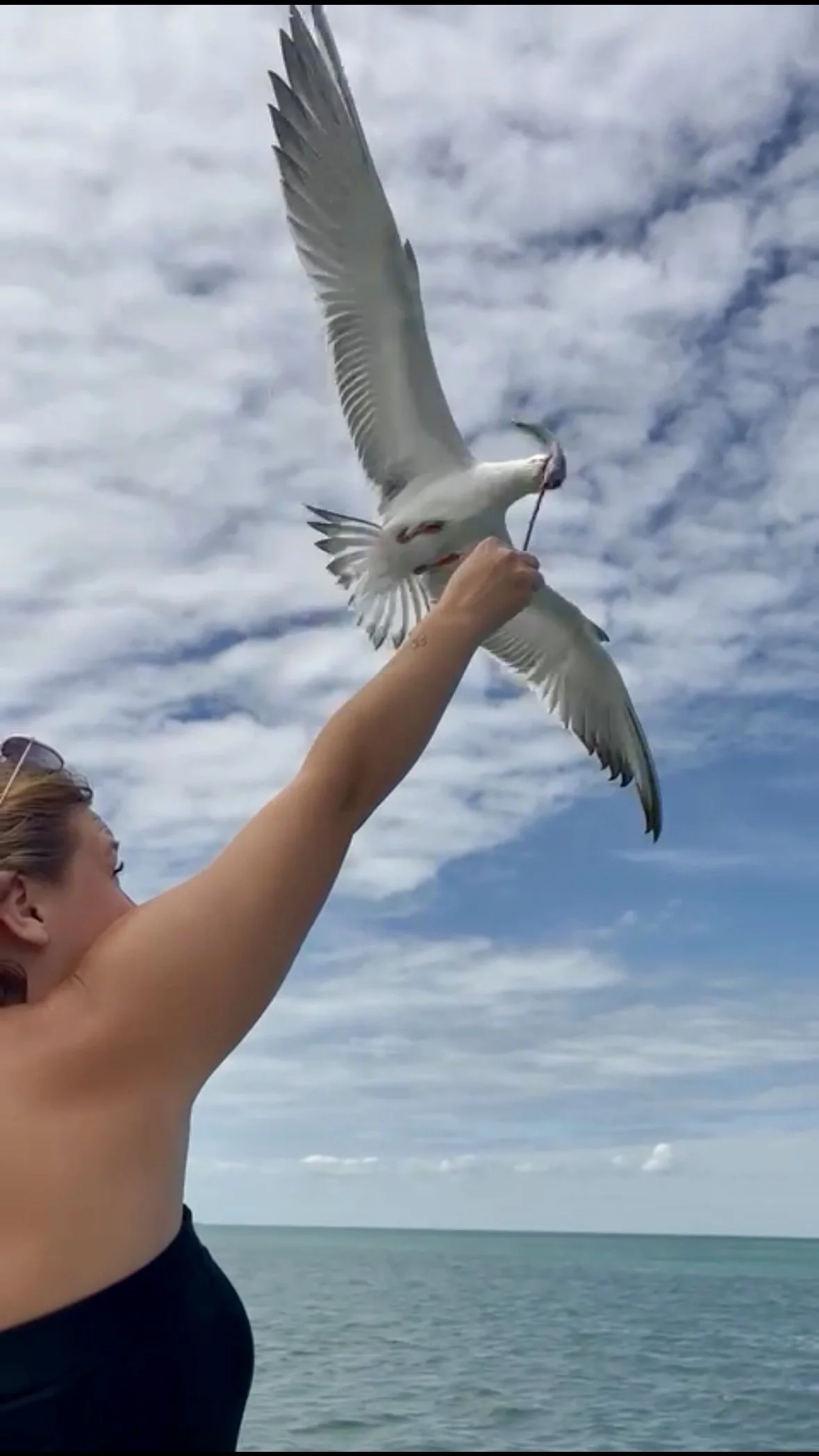 One Flight Away from Paradise: Reaching Mahogany Bay with M&B Luxury Rentals | Mahogany Bay Village, Belize (photo 9)