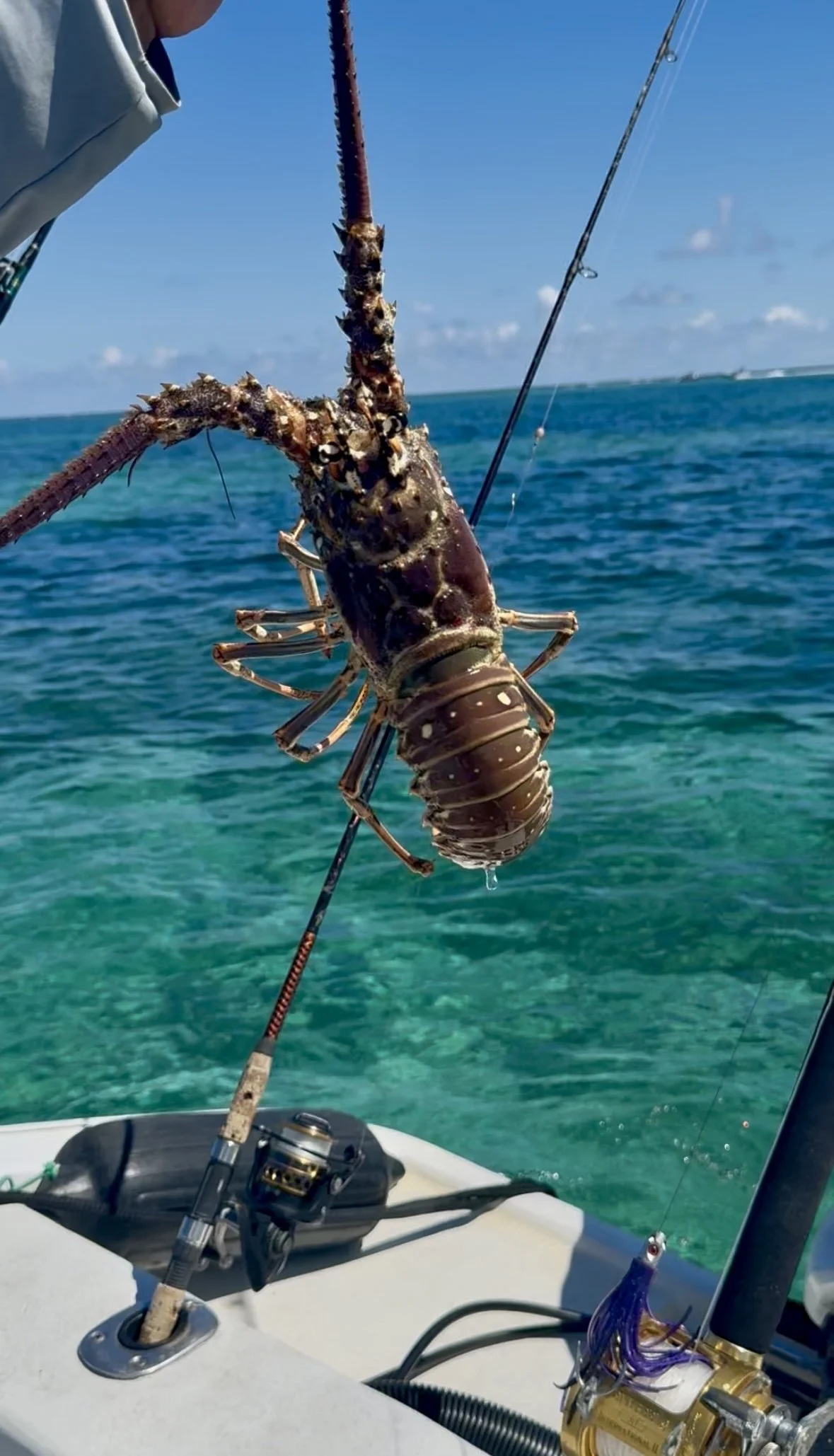 Lobster Fishing in Belize: The Ultimate Ocean-to-Table Adventure | Mahogany Bay Village, Belize (photo 1)