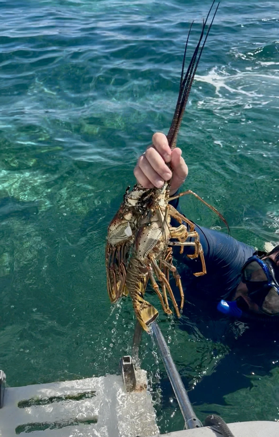 Lobster Fishing in Belize: The Ultimate Ocean-to-Table Adventure | Mahogany Bay Village, Belize (photo 3)