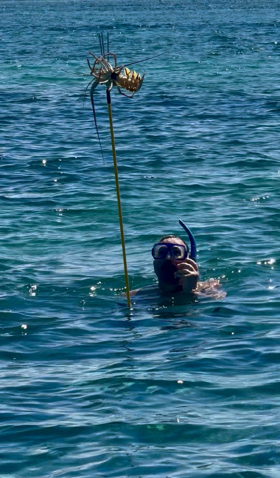 Lobster Fishing in Belize: The Ultimate Ocean-to-Table Adventure | Mahogany Bay Village, Belize (photo 2)