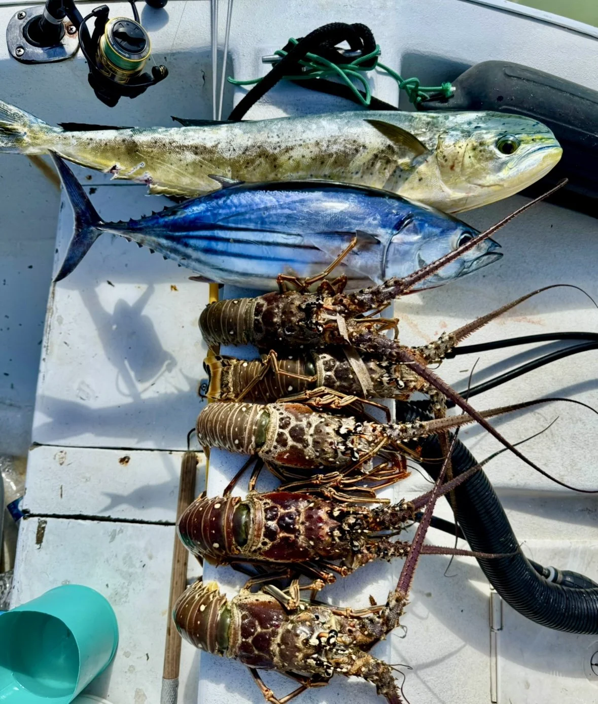 Lobster Fishing in Belize: The Ultimate Ocean-to-Table Adventure | Mahogany Bay Village, Belize (photo 4)