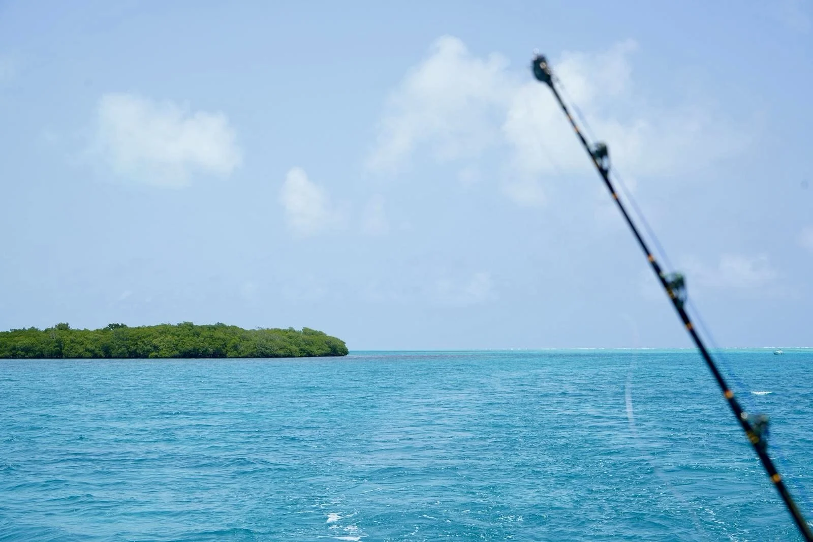 Chasing the Grand Slam: Why Winter is Prime Time for Fly Fishing in Belize | Mahogany Bay Village, Belize (photo 4)