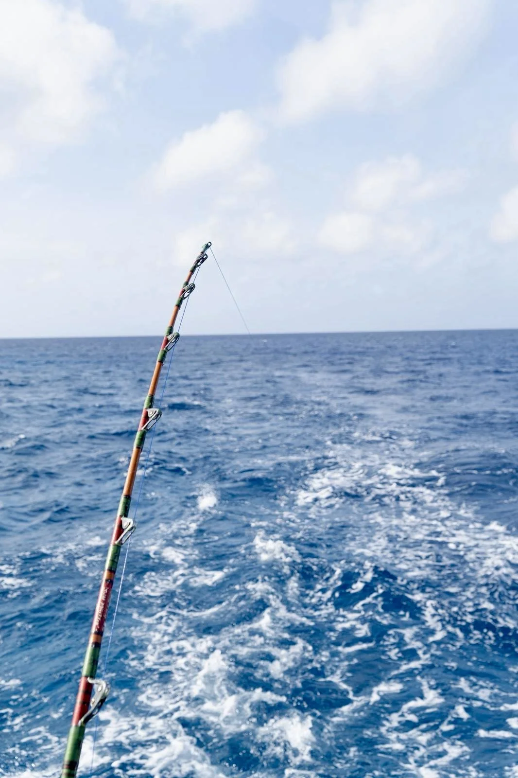 Chasing the Grand Slam: Why Winter is Prime Time for Fly Fishing in Belize | Mahogany Bay Village, Belize (photo 2)